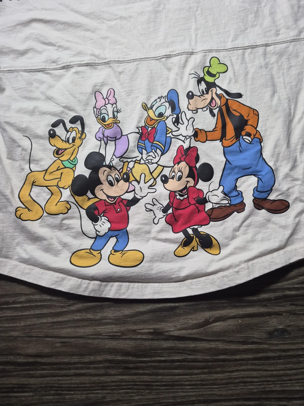 PALACE shoe disney